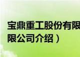 宝鼎重工股份有限公司（关于宝鼎重工股份有限公司介绍）