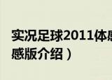 实况足球2011体感版（关于实况足球2011体感版介绍）