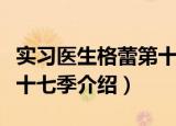 实习医生格蕾第十七季（关于实习医生格蕾第十七季介绍）
