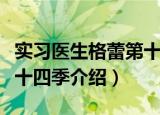 实习医生格蕾第十四季（关于实习医生格蕾第十四季介绍）