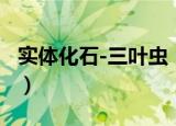 实体化石-三叶虫（关于实体化石-三叶虫介绍）