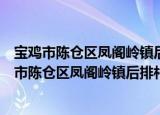 宝鸡市陈仓区凤阁岭镇后排村扶贫互助资金协会（关于宝鸡市陈仓区凤阁岭镇后排村扶贫互助资金协会介绍）