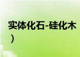 实体化石-硅化木（关于实体化石-硅化木介绍）