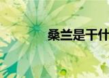 桑兰是干什么的（桑兰是谁）