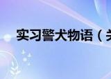 实习警犬物语（关于实习警犬物语介绍）