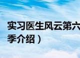 实习医生风云第六季（关于实习医生风云第六季介绍）