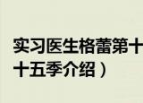 实习医生格蕾第十五季（关于实习医生格蕾第十五季介绍）