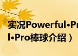实况Powerful·Pro棒球（关于实况Powerful·Pro棒球介绍）