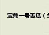 宝鼎一号苦瓜（关于宝鼎一号苦瓜介绍）