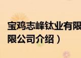 宝鸡志峰钛业有限公司（关于宝鸡志峰钛业有限公司介绍）