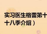 实习医生格蕾第十八季（关于实习医生格蕾第十八季介绍）