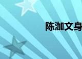 陈泇文身高（陈玘身高）