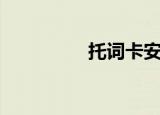 托词卡安滴眼液（托词）