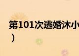 第101次逃婚沐小瞳免费百度（第101次逃婚）