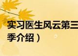 实习医生风云第三季（关于实习医生风云第三季介绍）