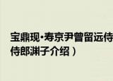 宝鼎现·寿京尹曾留远侍郎渊子（关于宝鼎现·寿京尹曾留远侍郎渊子介绍）