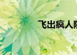 飞出疯人院（疯人院飞了）
