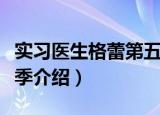 实习医生格蕾第五季（关于实习医生格蕾第五季介绍）