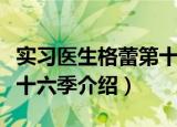 实习医生格蕾第十六季（关于实习医生格蕾第十六季介绍）