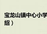 宝龙山镇中心小学（关于宝龙山镇中心小学介绍）