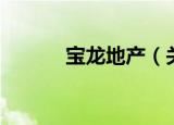 宝龙地产（关于宝龙地产介绍）