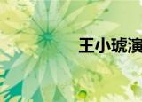王小琥演唱会（王小琥）