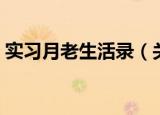 实习月老生活录（关于实习月老生活录介绍）