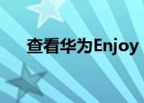  查看华为Enjoy 20 Pro泄露的规格信息