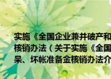 实施《全国企业兼并破产和职工再就业工作计划》银行呆、坏帐准备金核销办法（关于实施《全国企业兼并破产和职工再就业工作计划》银行呆、坏帐准备金核销办法介绍）
