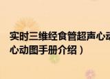 实时三维经食管超声心动图手册（关于实时三维经食管超声心动图手册介绍）