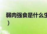 弱肉强食是什么生肖?（弱肉强食是什么生肖）