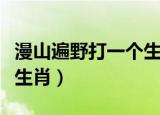 漫山遍野打一个生肖前程似（漫山遍野打一个生肖）