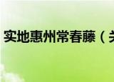 实地惠州常春藤（关于实地惠州常春藤介绍）
