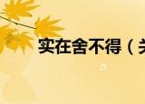 实在舍不得（关于实在舍不得介绍）