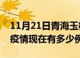 11月21日青海玉树疫情最新消息数据及玉树疫情现在有多少例