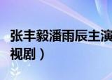 张丰毅潘雨辰主演的电视剧（潘雨辰主演的电视剧）