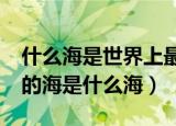什么海是世界上最大的海?（请问世界上最大的海是什么海）