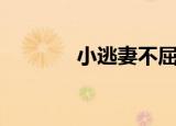 小逃妻不屈服（缠上小逃妻）