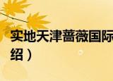 实地天津蔷薇国际（关于实地天津蔷薇国际介绍）