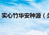 实心竹华安种源（关于实心竹华安种源介绍）