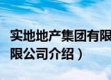 实地地产集团有限公司（关于实地地产集团有限公司介绍）