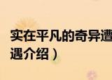 实在平凡的奇异遭遇（关于实在平凡的奇异遭遇介绍）