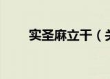 实圣麻立干（关于实圣麻立干介绍）