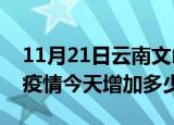 11月21日云南文山疫情最新状况今天及文山疫情今天增加多少例