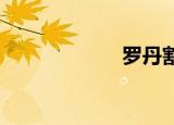 罗丹割破了他的手