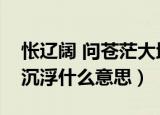 怅辽阔 问苍茫大地谁主沉浮什么意思（谁主沉浮什么意思）