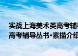 实战上海美术类高考辅导丛书·素描（关于实战上海美术类高考辅导丛书·素描介绍）
