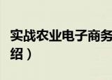 实战农业电子商务（关于实战农业电子商务介绍）