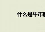 什么是牛市股票（什么是牛市）
