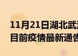 11月21日湖北武汉疫情最新通报详情及武汉目前疫情最新通告